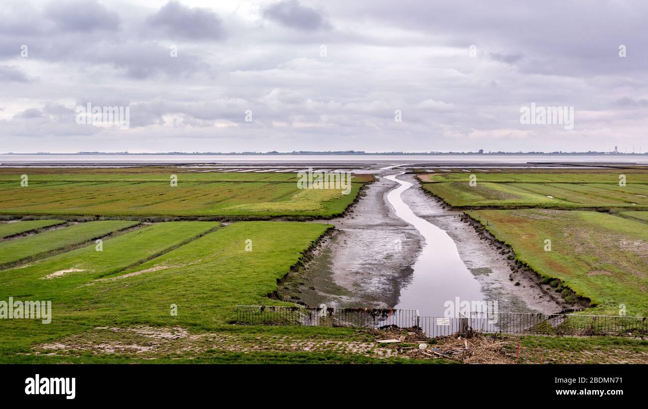 Wattenmeer bei Wester Spätinge, Nordfriesland Stock Photo