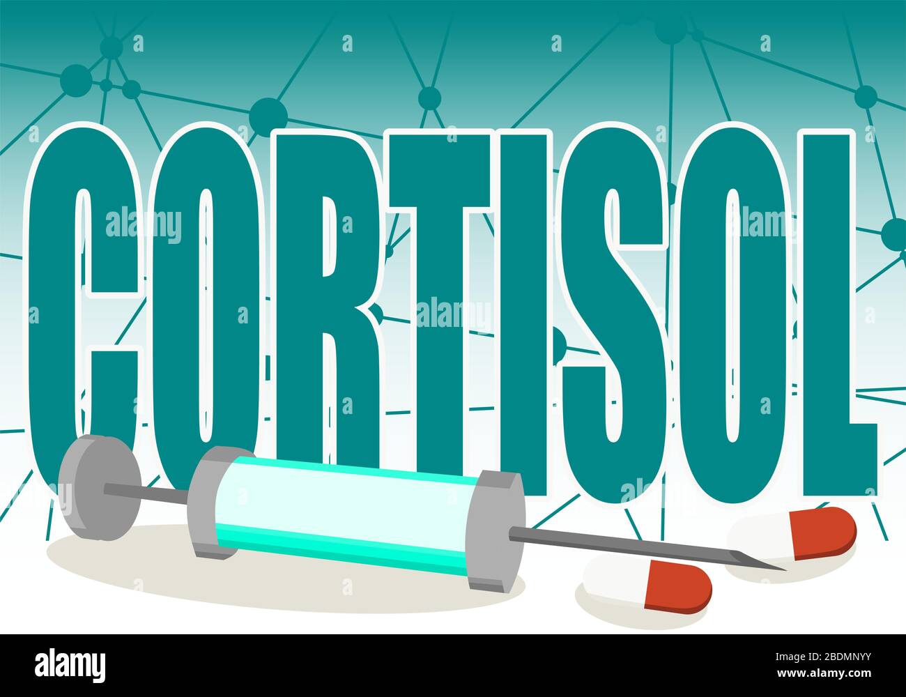 Steroid hormone cortisol Stock Vector