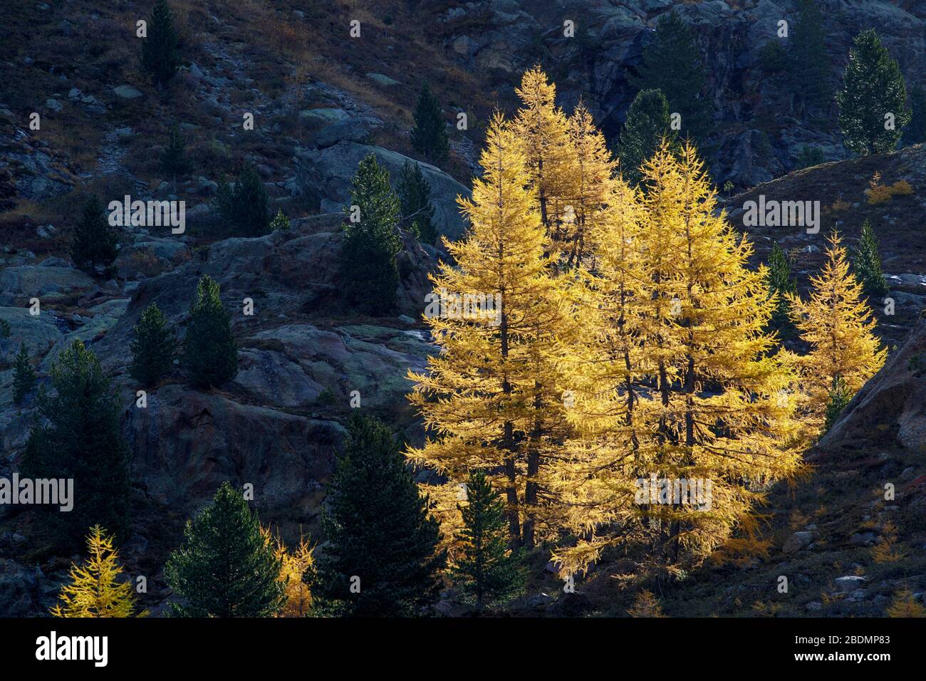 Osterreich landschaft hires stock photography and images Alamy