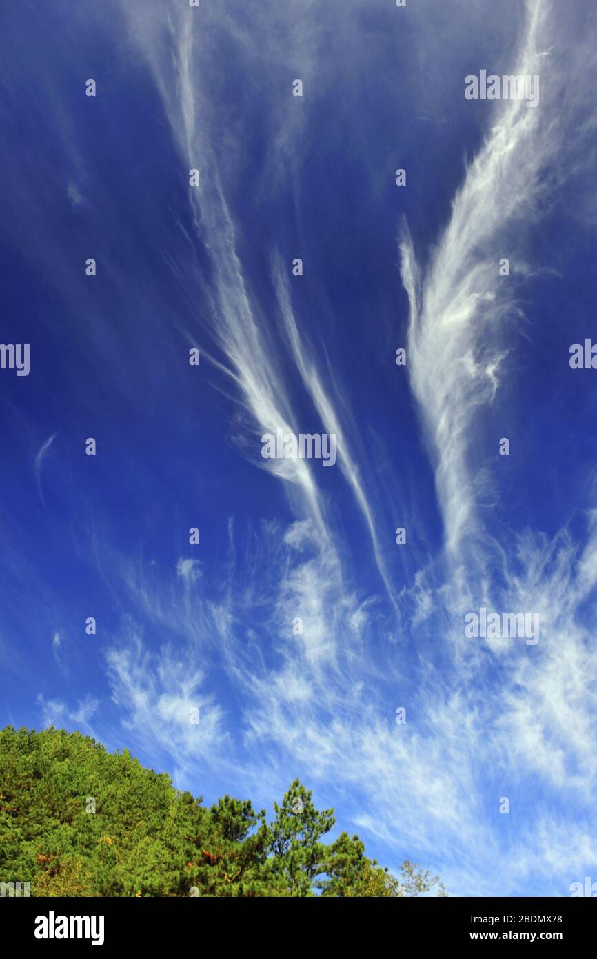 Low angle shot of the white cloud and blue sky in Taichung city Taiwan ...