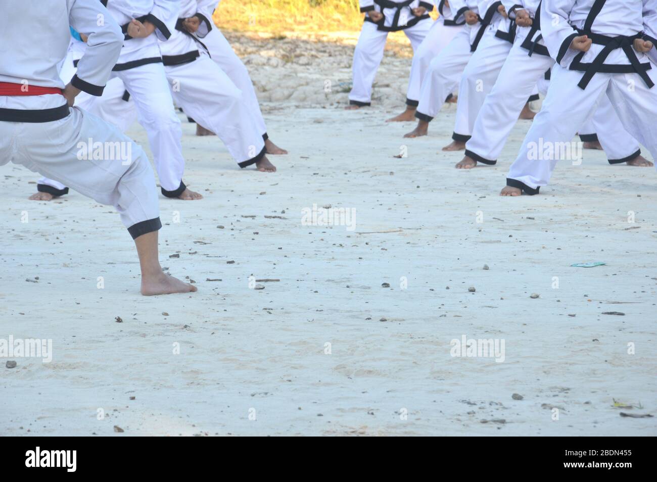 Martial arts training, with the training of participants in white
