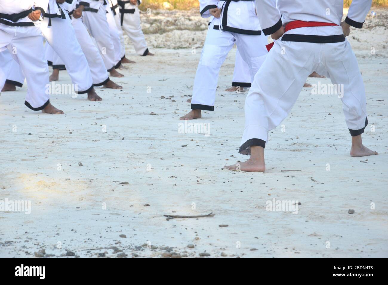 Martial arts training, with the training of participants in white