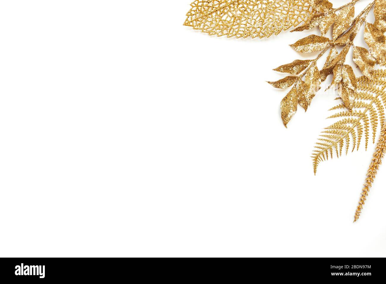 Various golden leaves over white background. Copy space. Stock Photo
