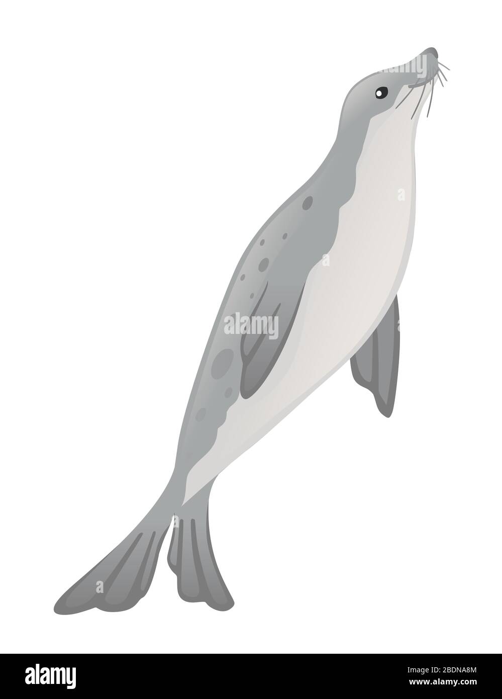 Cute seal cartoon animal design flat vector illustration isolated on white background Stock Vector
