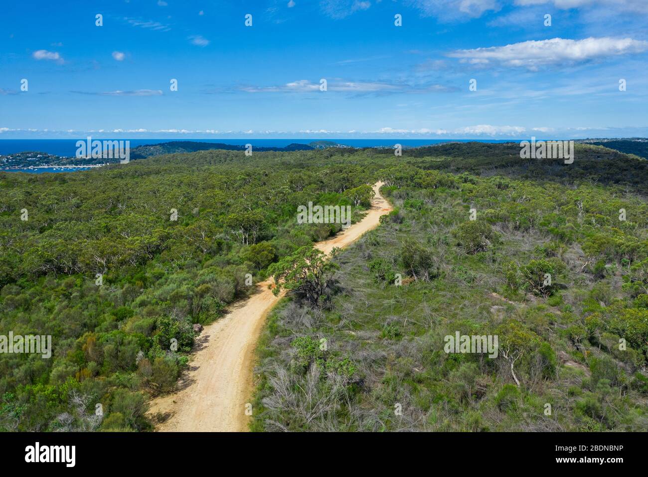 Aerial view of green summer forest with a road. Captured from above with a drone in Australia. Stock Photo