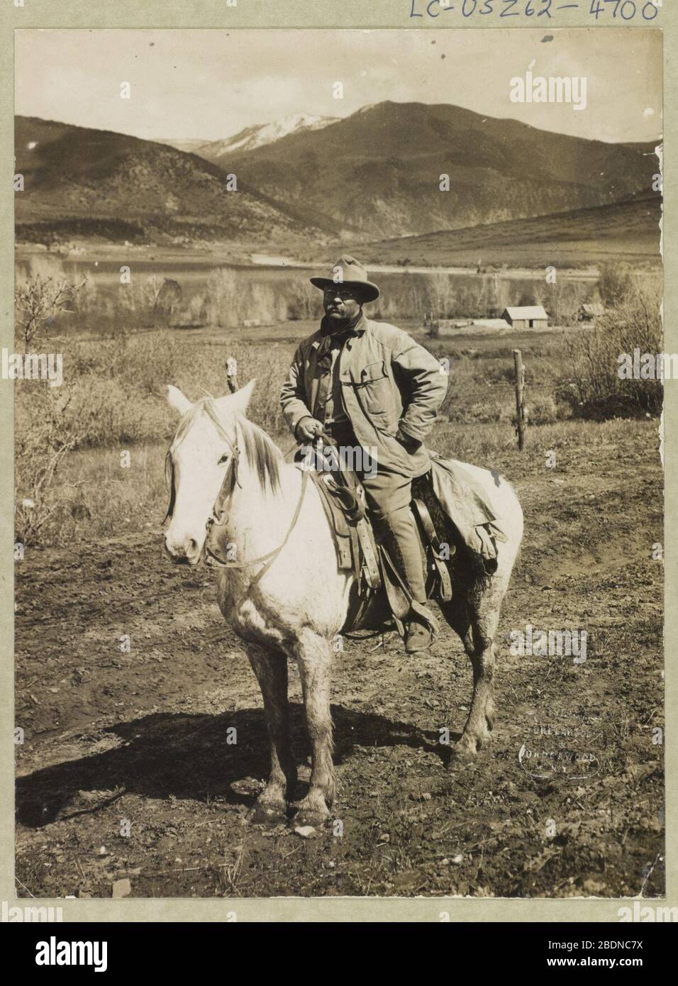 teddy roosevelt bear hunt