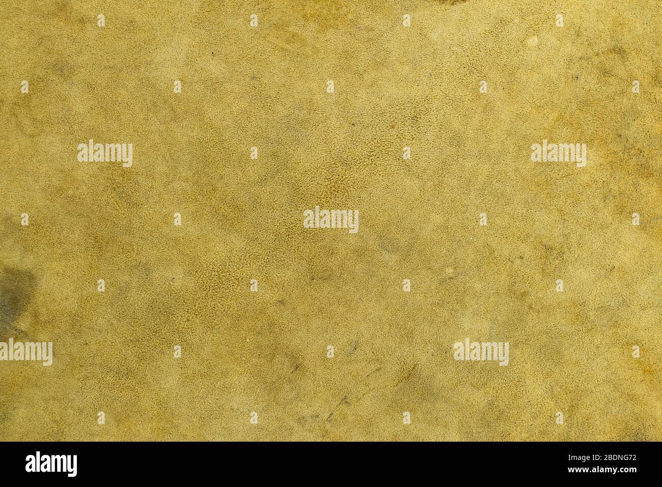 Deer natural leather texture background Stock Photo