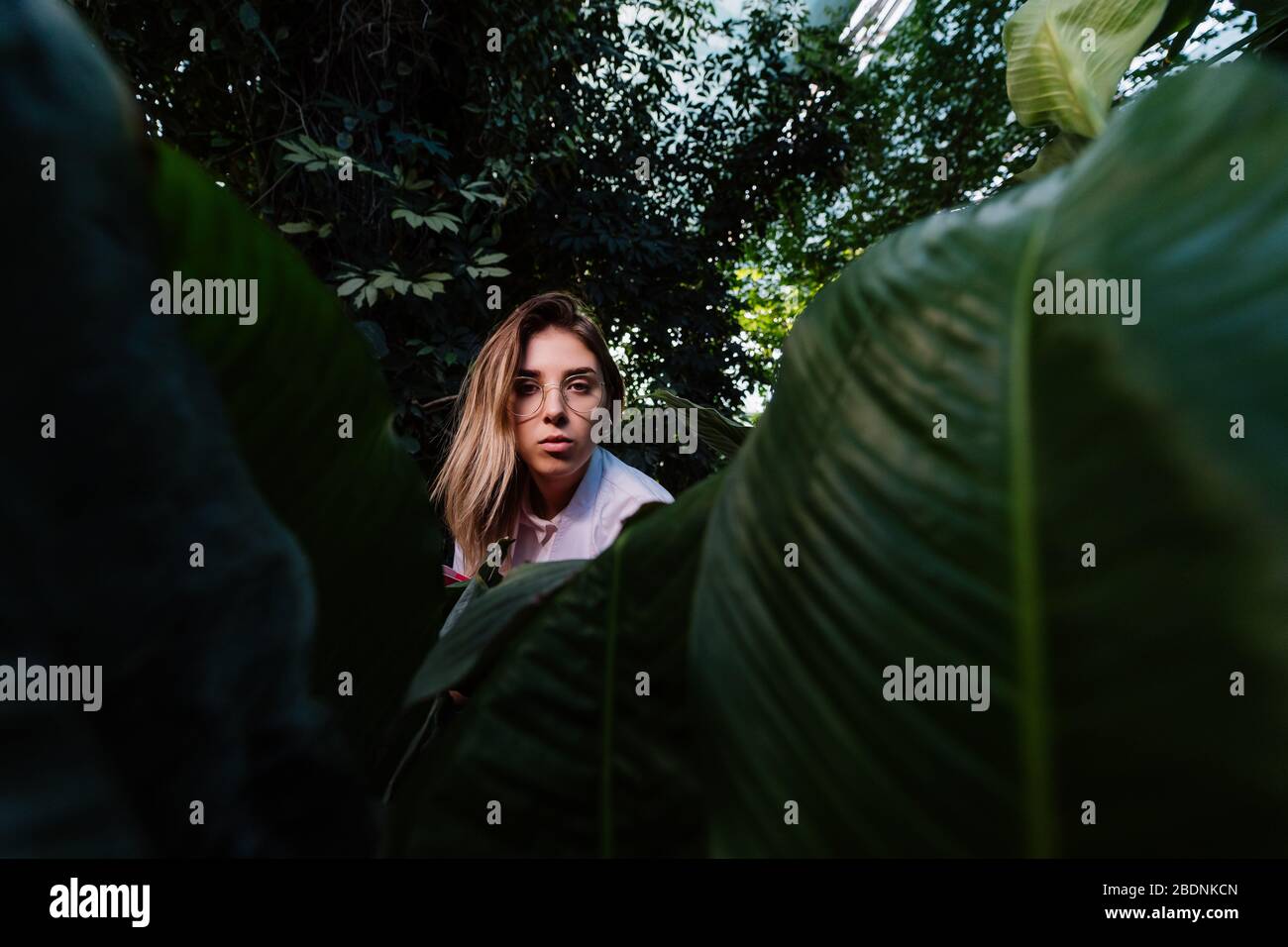 Young agricultural engineer examines leaves in greenhouse Stock Photo