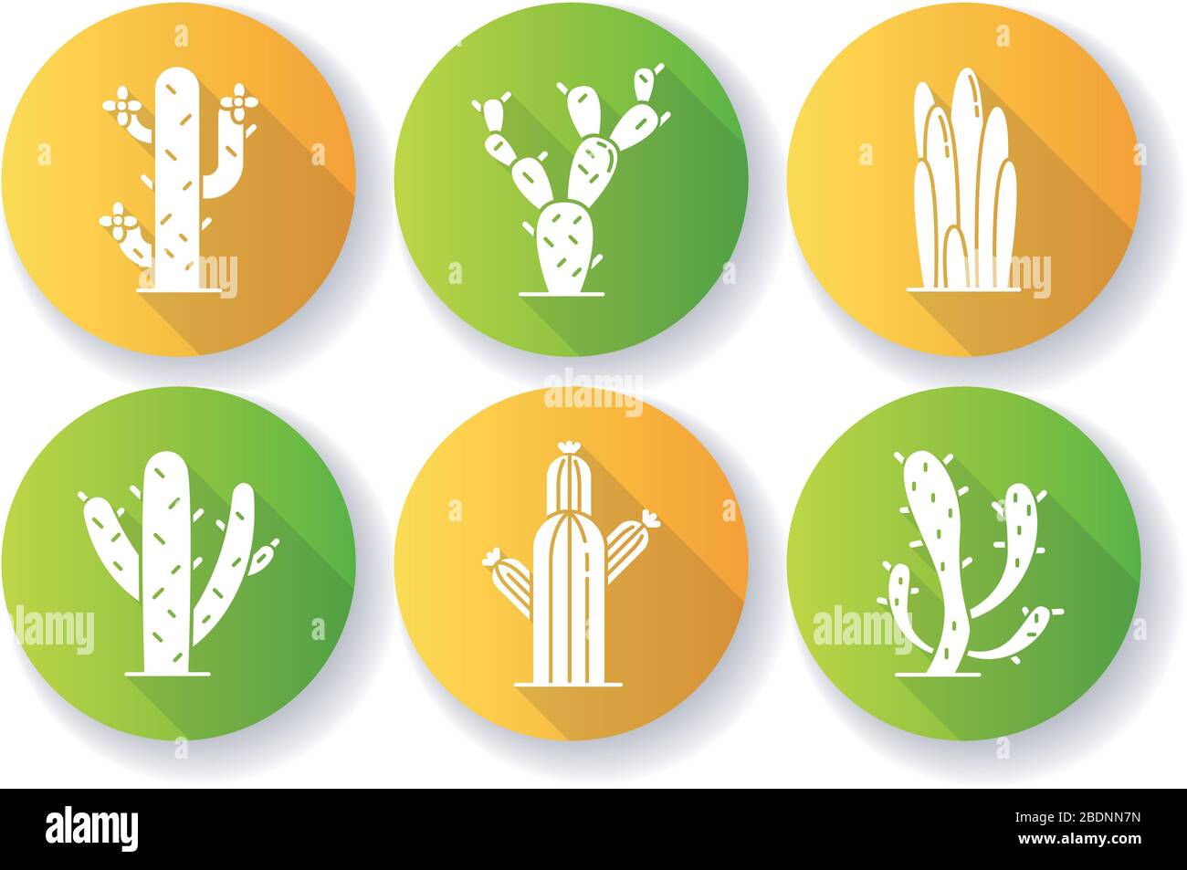 Cactuses flat design long shadow glyph icons set. American desert plants with fleshy trunks. Family Cactaceae. Prickly succulents. Arid area thorny Stock Vector