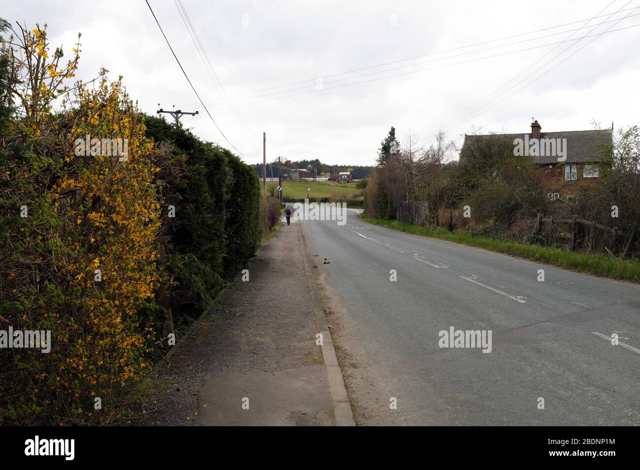 Lone walker on pavement next tio empty road. Stock Photo