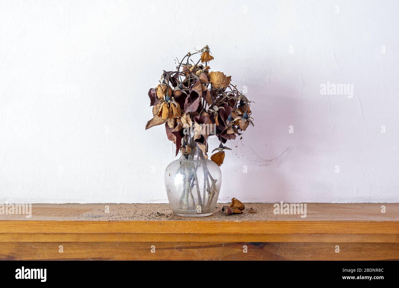 Glass vase sitting on fireplace displaying dead dried cut flowers Stock