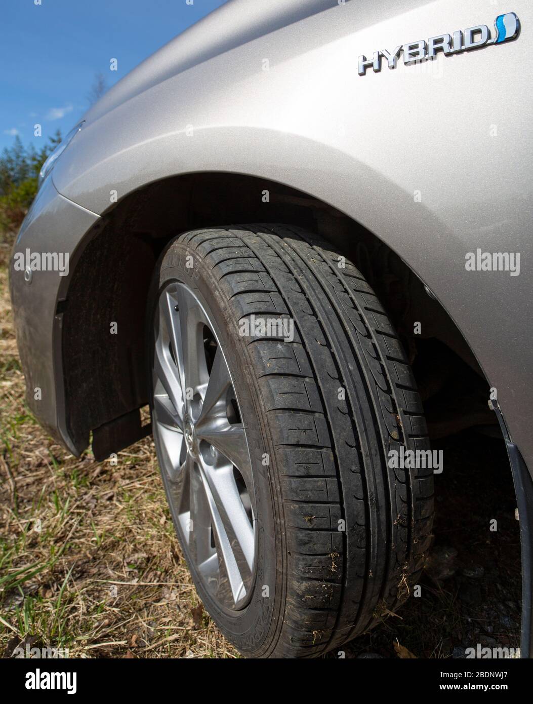 Toyota Auris Hybrid logo at 2013 model Stock Photo