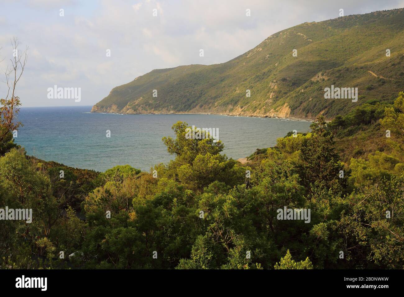 Marine panorama on the island of Elba Italy with mediterranean