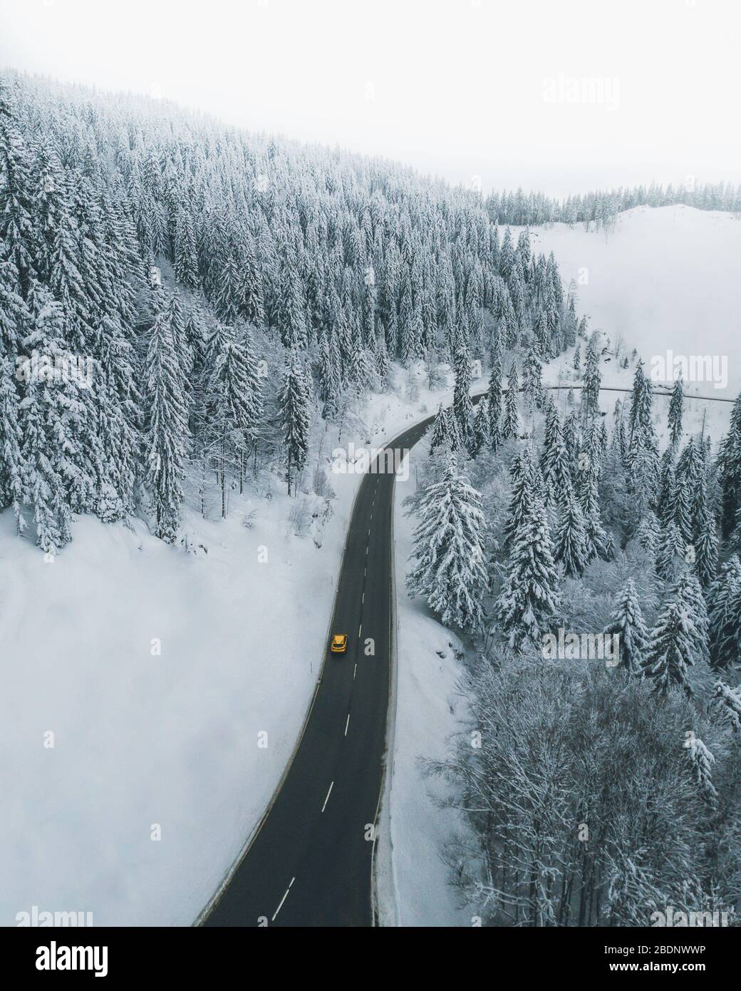 Drone Shot/Aerial of Trees covered with snow from above with yellow car Stock Photo