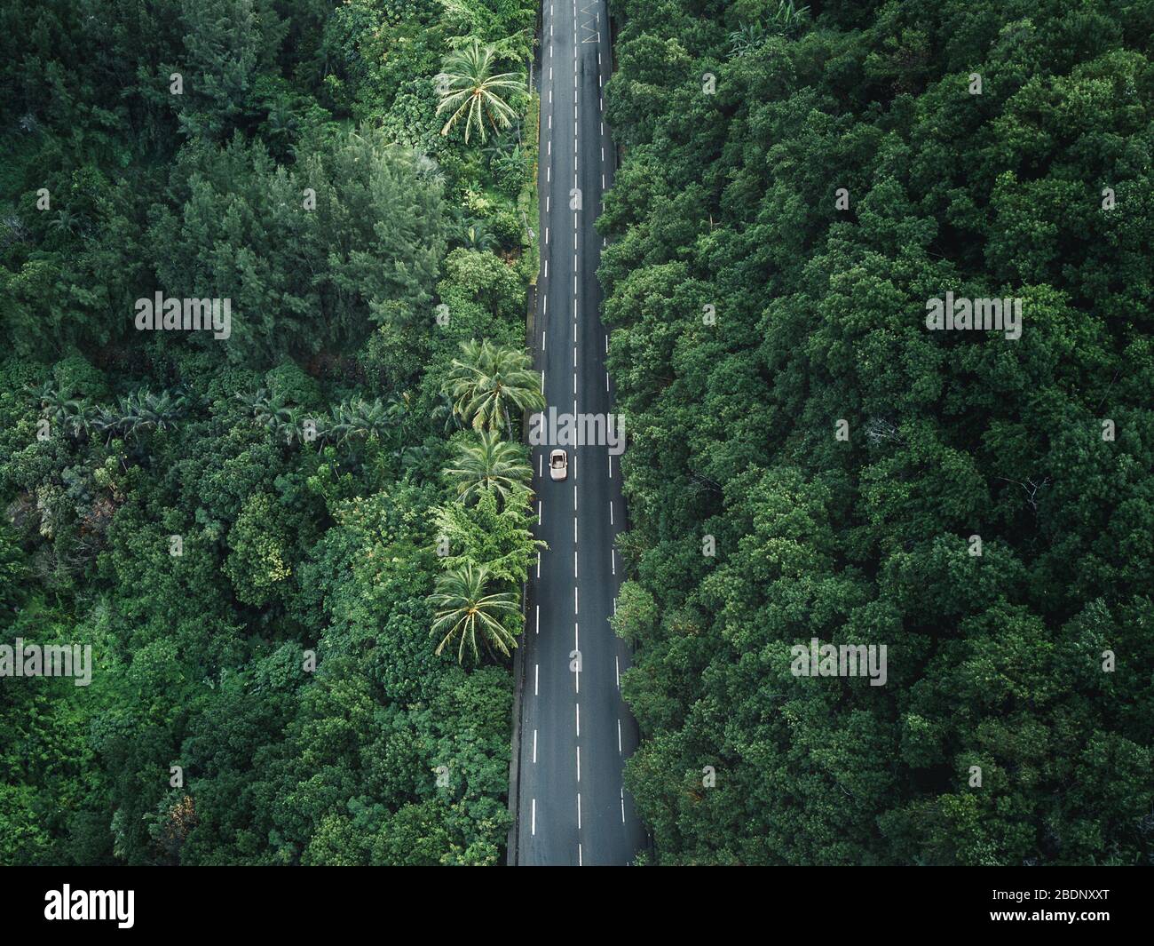 Drone/Aerial shot of a jungle road with lonely car on La Réunion Stock Photo