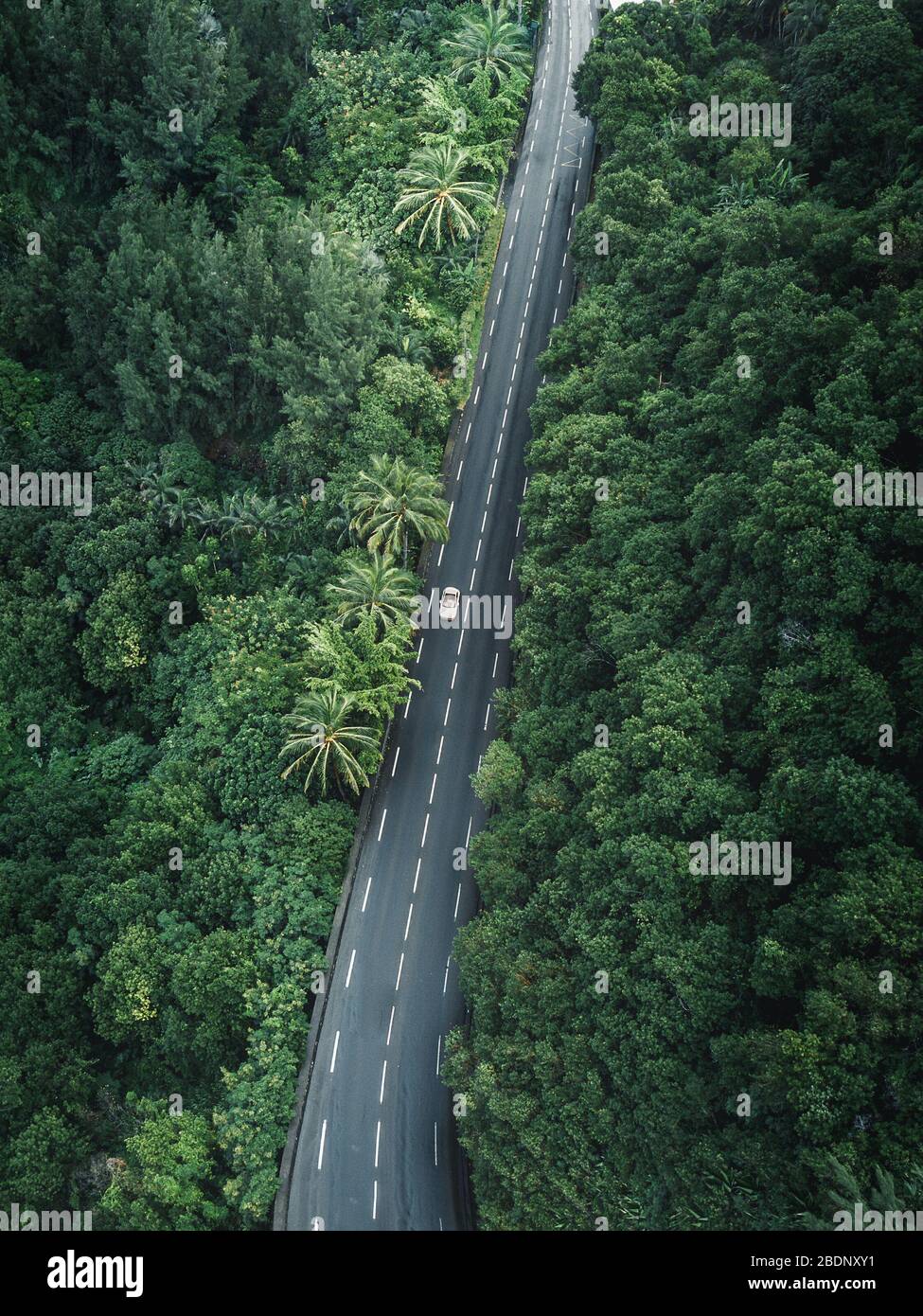 Drone/Aerial shot of a jungle road with lonely car on La Réunion Stock Photo