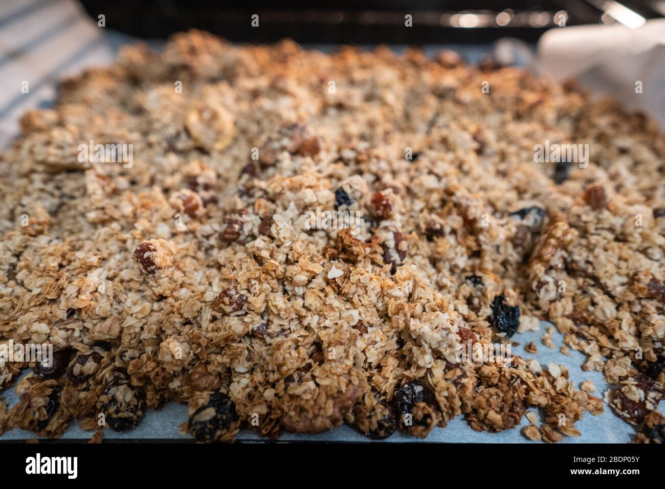 granola to cook in an electric oven. concept of simple ingredients for