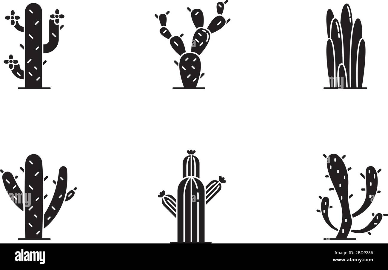 Cactuses black glyph icons set on white space. American desert plants with fleshy trunks. Family Cactaceae. Different prickly succulents. Silhouette Stock Vector