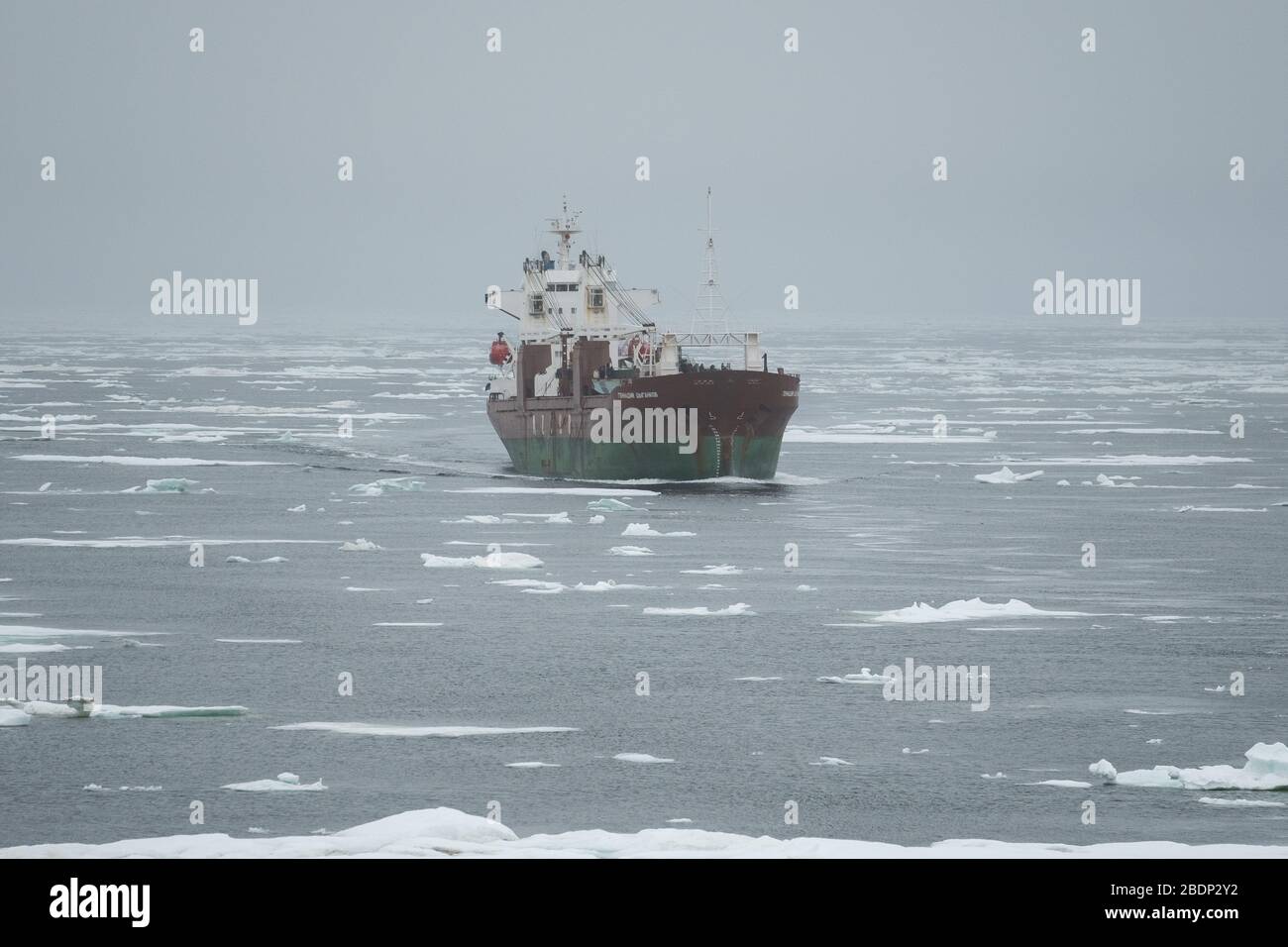 Pevek, Russia - July 31, 2019: The Gennady Tsygankov bulk carrier floats among polar ices in the East-Siberian Sea. Stock Photo