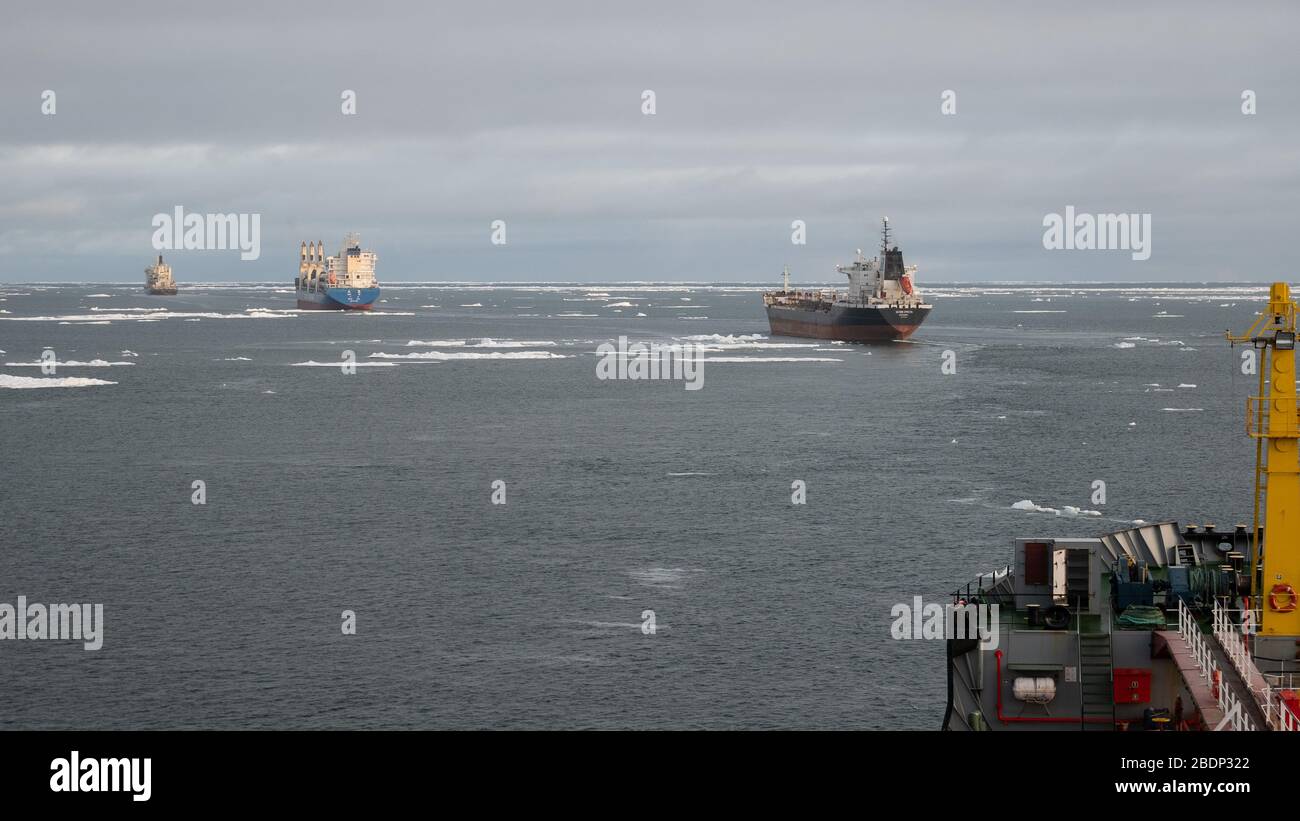 Pevek, Russia - August 4, 2019: The convoy of the ships floats among polar ices in the East-Siberian Sea. Stock Photo