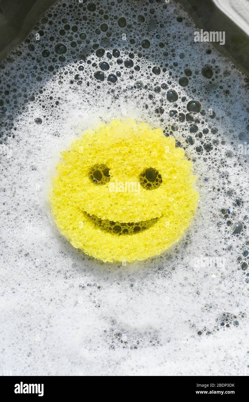 Scrub Daddy cleaning sponge Stock Photo - Alamy