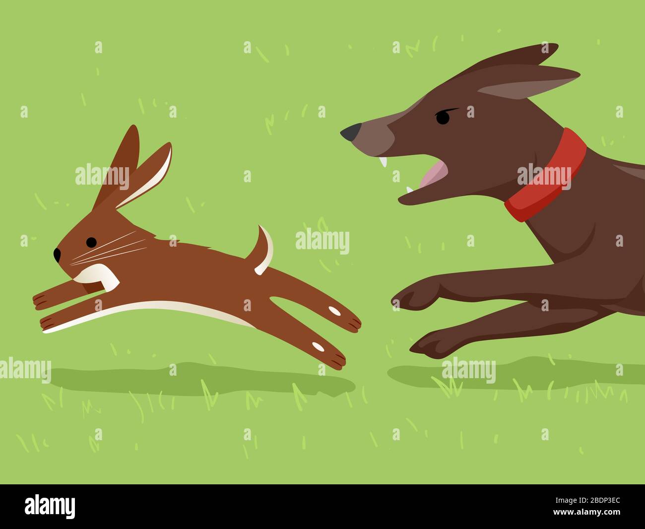 Dog killing rabbit hires stock photography and images Alamy