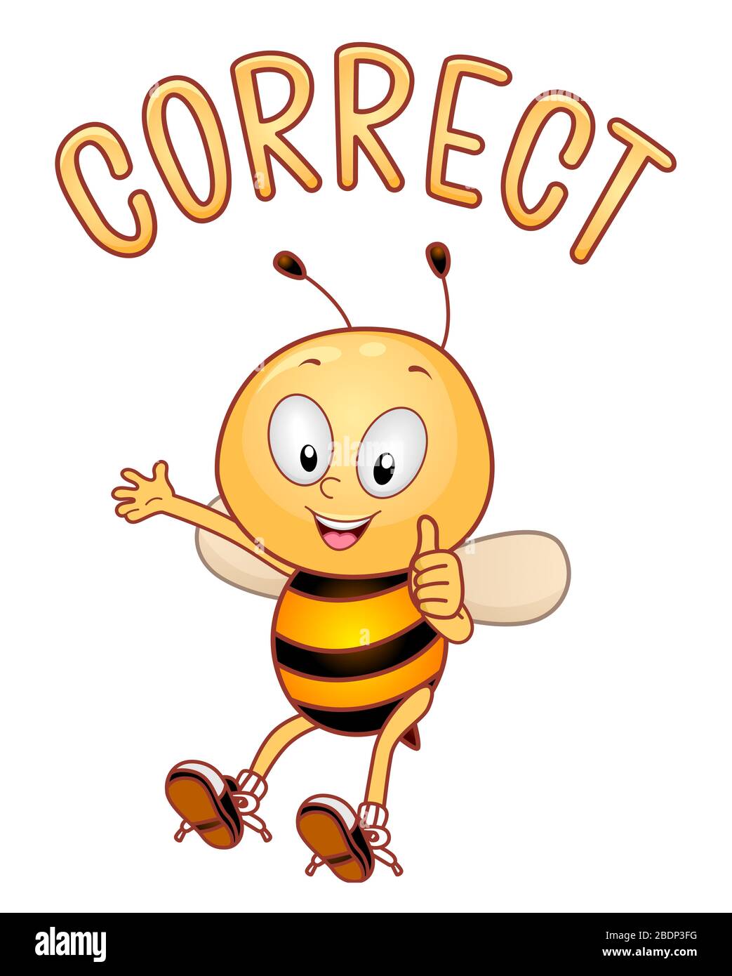 Illustration of a quiz bee mascot with okay sign and correct word stock 