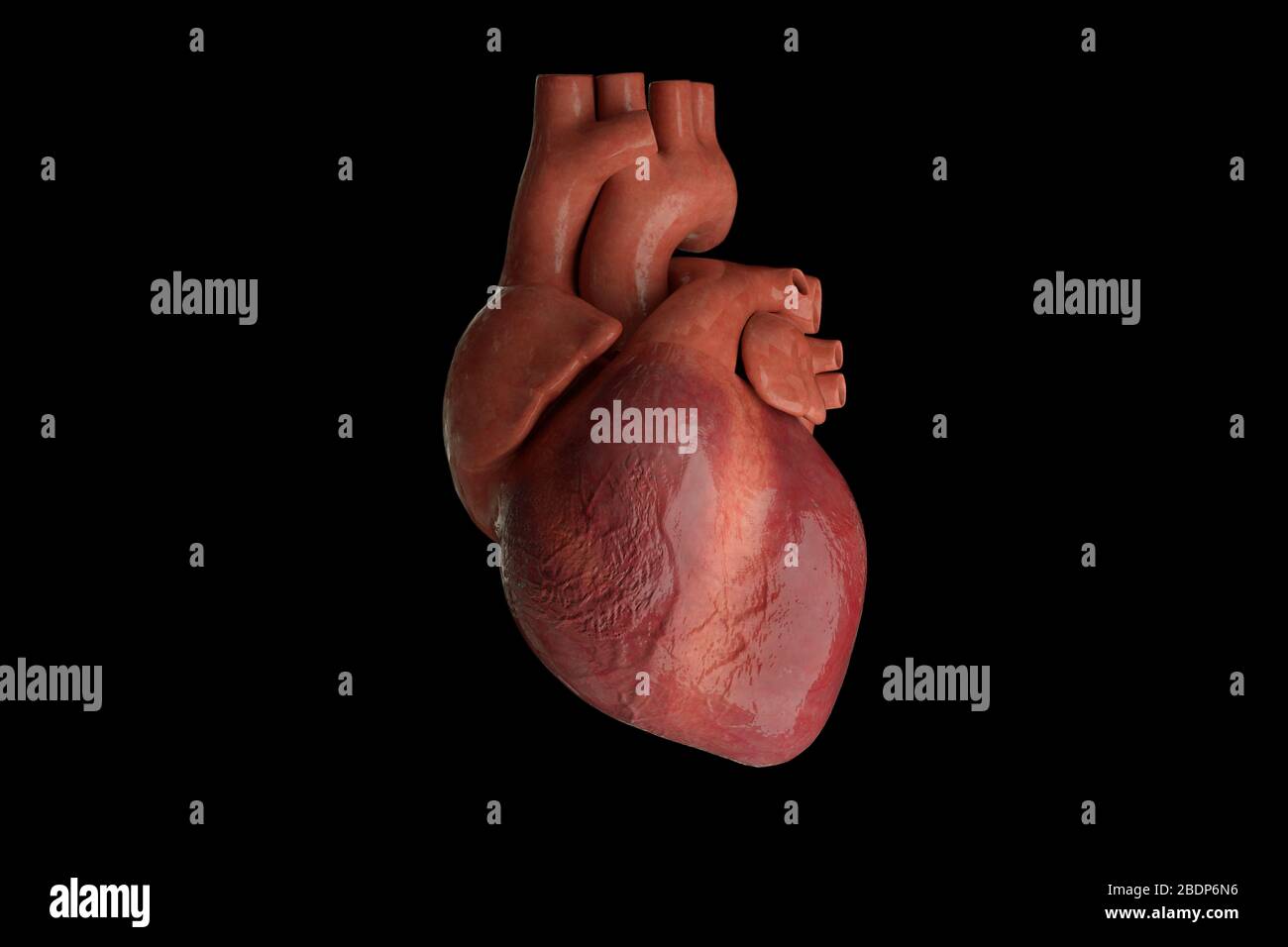 Human heart beating, 3d render Stock Photo
