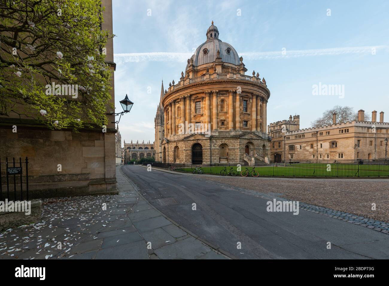 The Radcliffe Camera, part of the Bodleain Library, in Radcliffe Square, Oxford Stock Photo