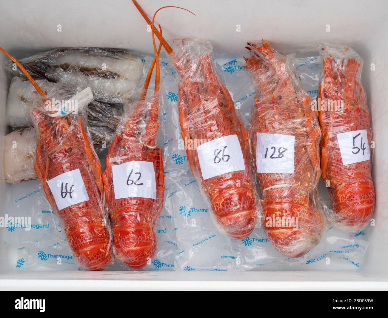 Seafood bbq hires stock photography and images Alamy