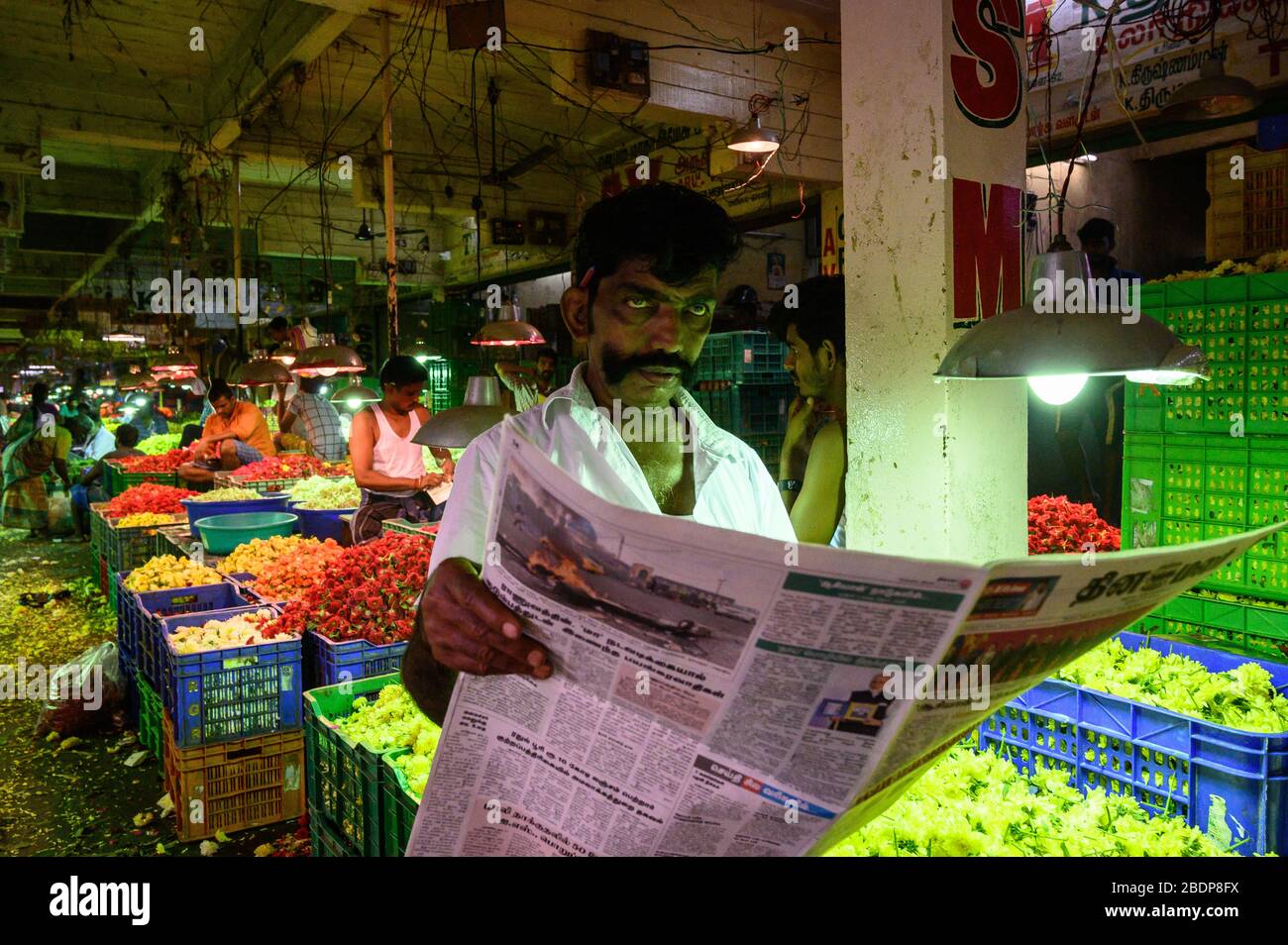 Produce vendor reading a newspaper, Koyambedu Market,  Chennai, India. 4 November 2019 Stock Photo