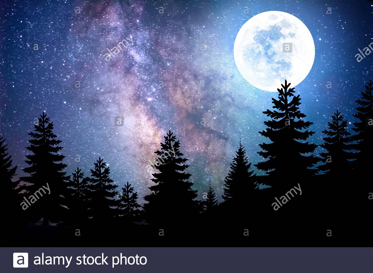 Scenic Starry Night Sky With Full Moon And Tree Silhouette Stock Photo Alamy