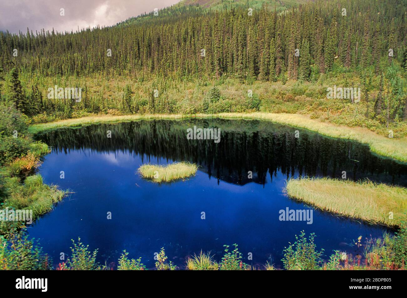 Pond, Ogilvie Mountains, Yukon Territories, Canada Stock Photo