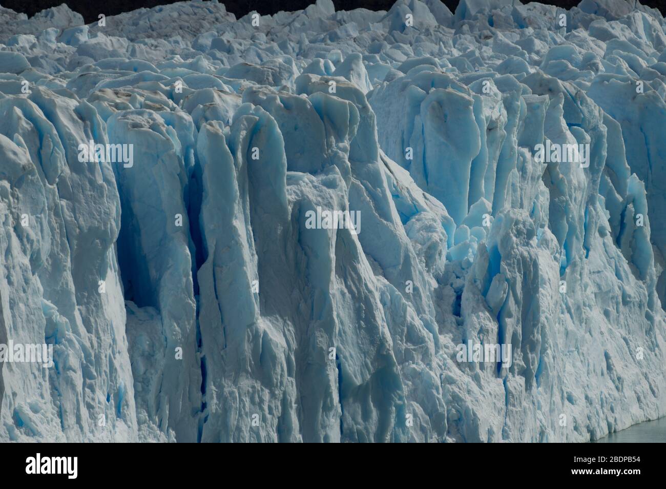 Calafate Glaciar Perito Moreno Argentina Stock Photo Alamy