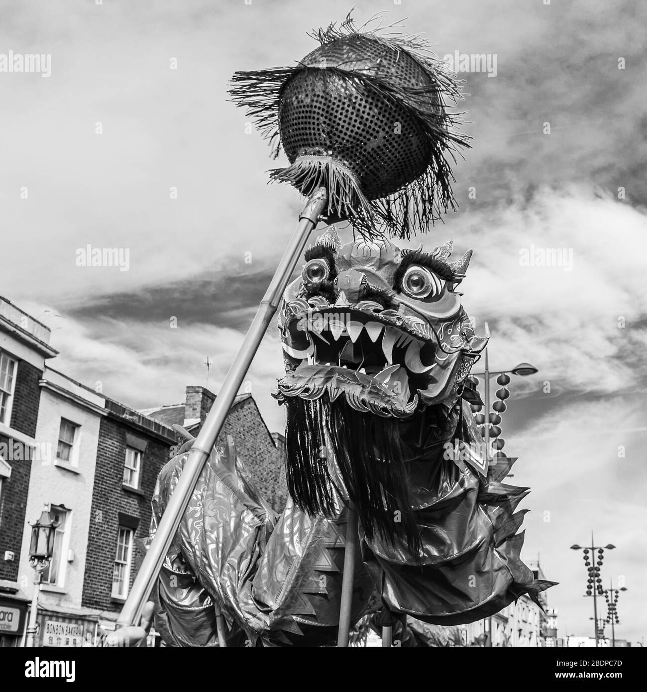 The vivid orange, red and yellow coloured dragon chases the pearl during the dragon dance in Liverpool to mark the Chinese New Year. Stock Photo