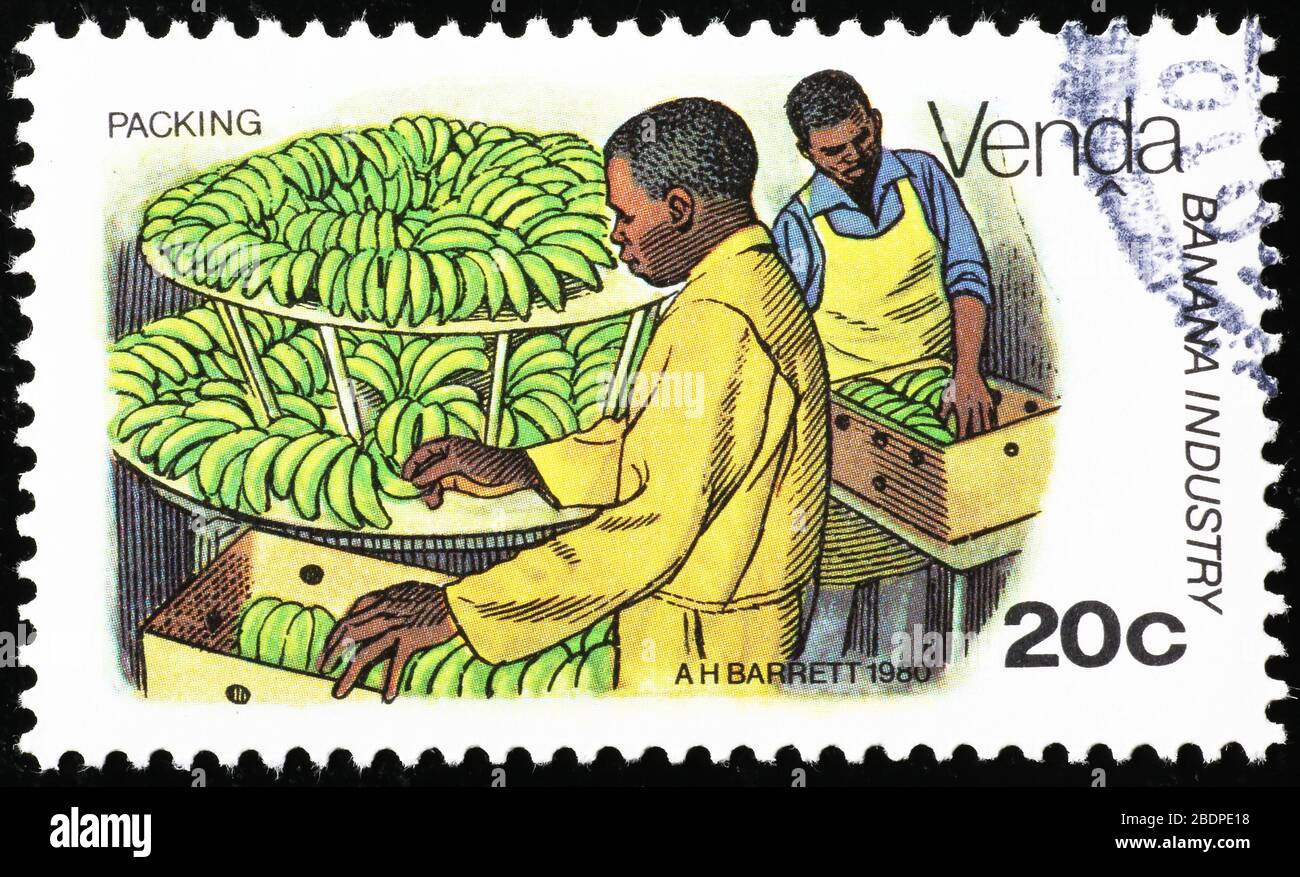 Packing bananas on african postage stamp Stock Photo