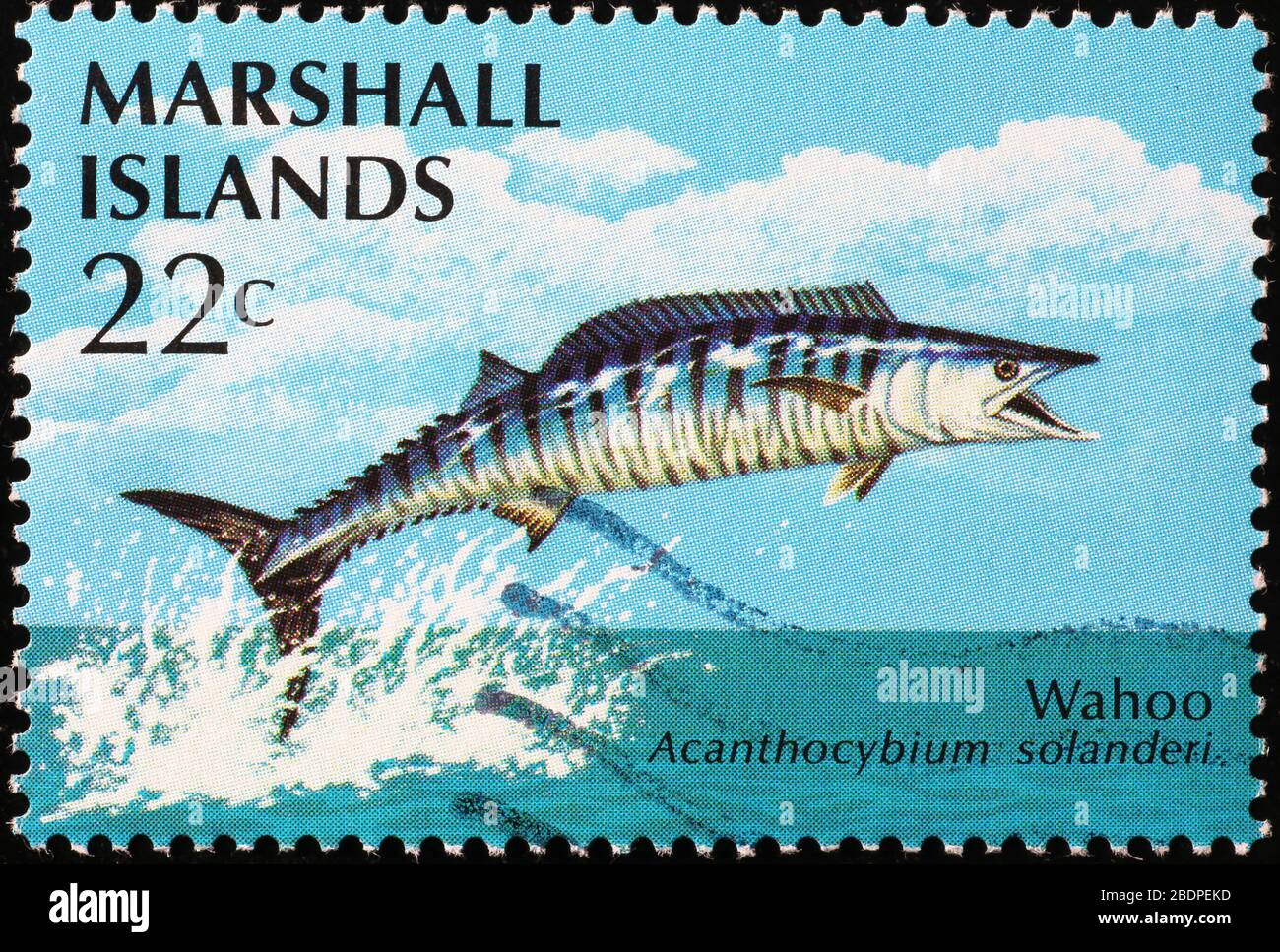 Wahoo on postage stamp of Marshall Islands Stock Photo