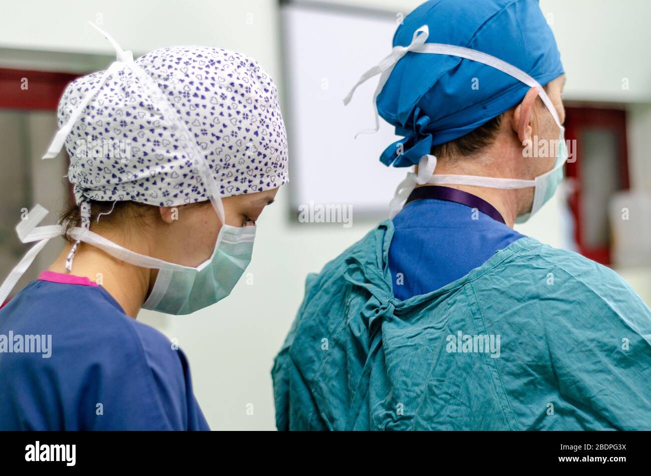 The doctor is wearing sterile surgical gown preoperative. Stock Photo