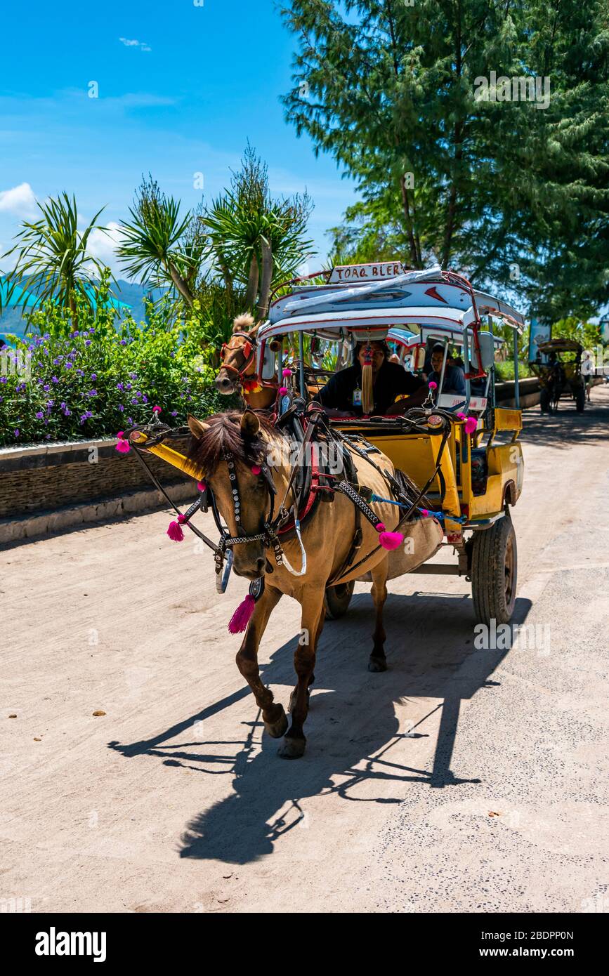 Vertical close up of a traditional horse-drawn taxi in Gili Trawangan, Indonesia. Stock Photo