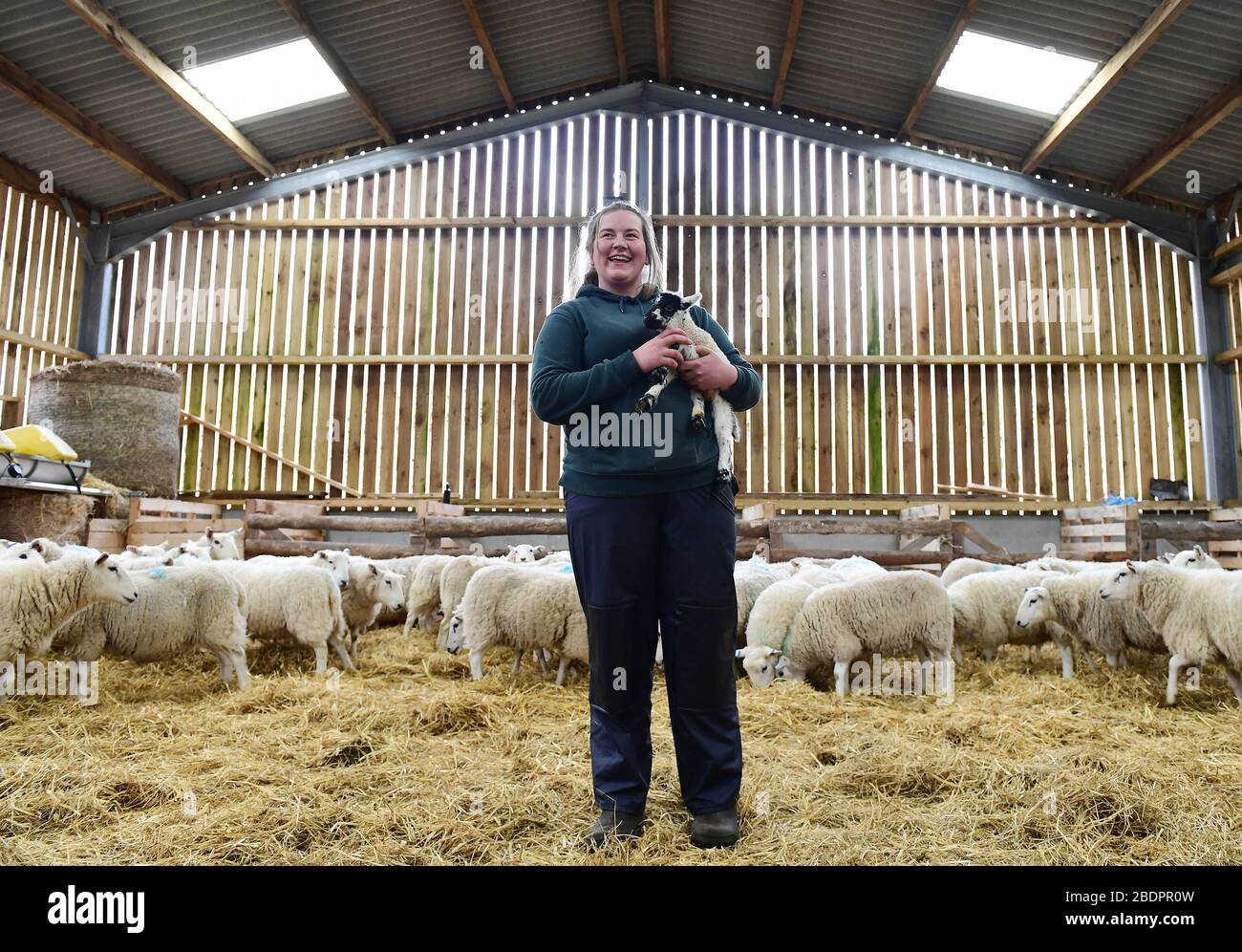 EDITORIAL USE ONLY Chloe Malcolm, aged 25, tends to a new lamb as she has been appointed as manager of one of Scotland's biggest upland farming operations. She will oversee 12,000 acres of hill farm and 600 sheep in Glenshero and Inverlair for Jahama Highland Estates, part of the GFG Alliance industrial group. Stock Photo
