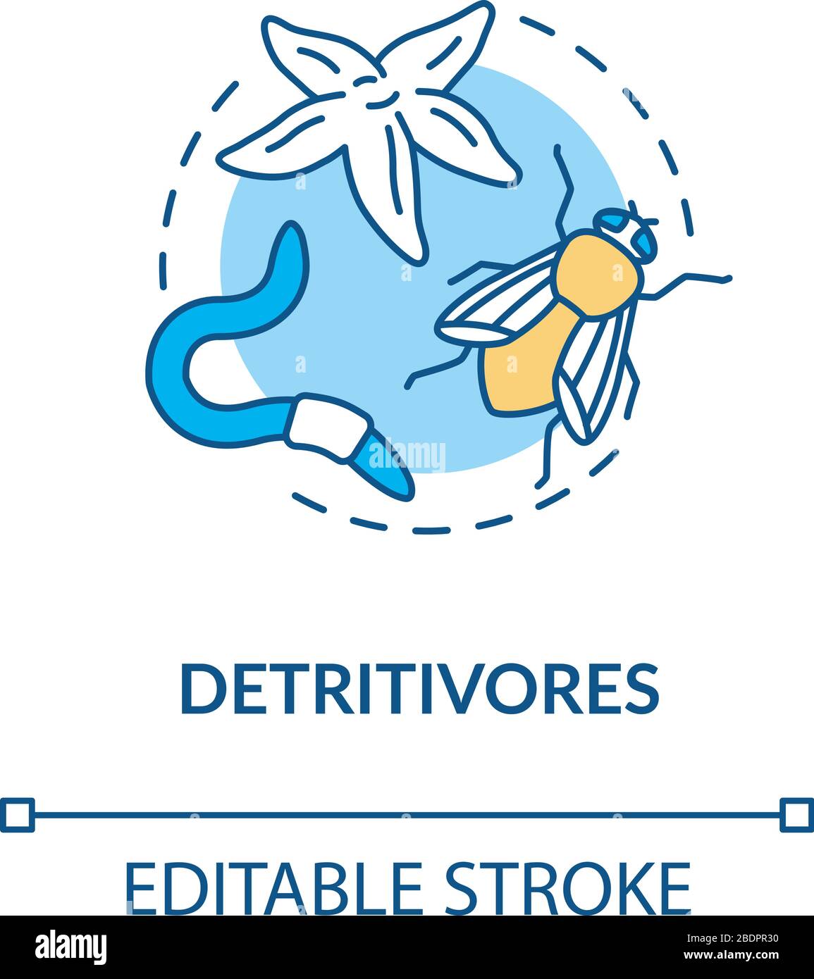Dead animal eater Stock Vector Images Biology Diagrams
