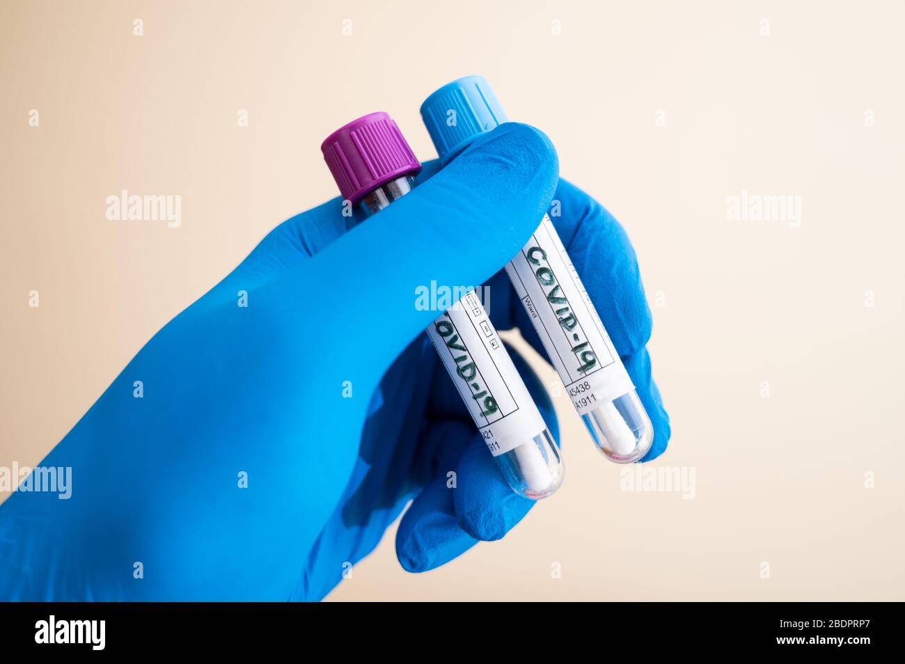 A hand of health care worker with blue glove holding sample tubes with swabs for coronavirus COVID-19 test. Copy space for text Stock Photo