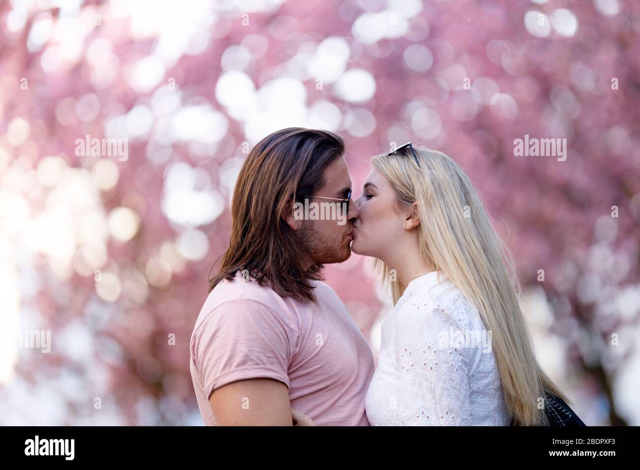 Because of the corona virus, the city of Bonn blocks cherry blossom for visitors. Bonn, April 8th, 2020 | usage worldwide Stock Photo