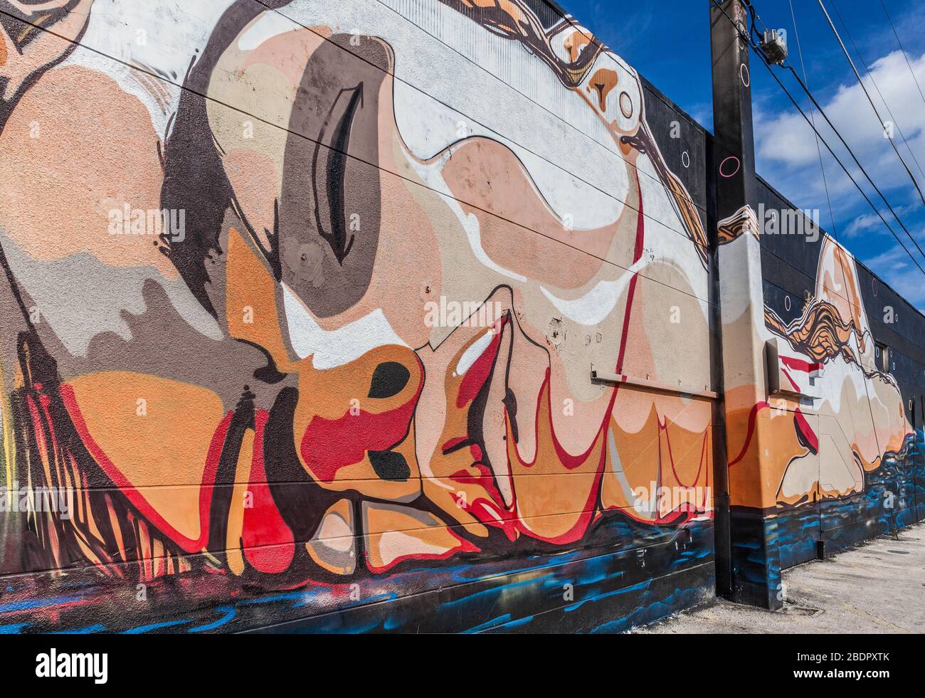 Foreshortened view of a large decorative portrait wall graffiti, Wynwood Art District, Miami Beach, Florida, USA. Stock Photo