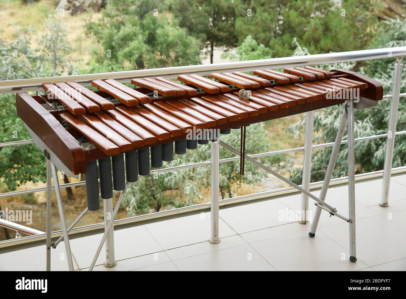 Xylophone, weenote. Xylophone closeup, wooden percussion instrument