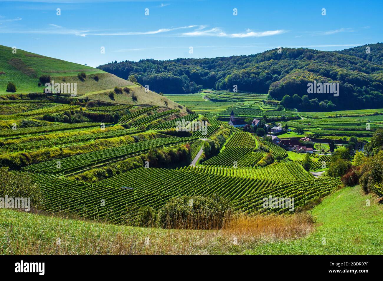 Altvogtsburg im Kaiserstuhl Stock Photo