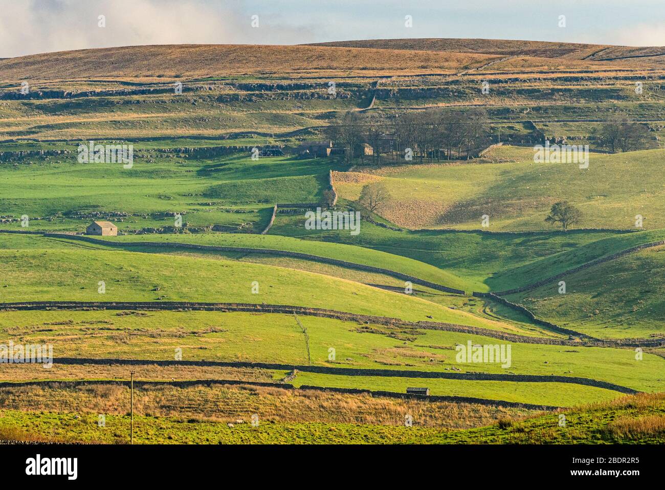 Top Farm and Horton Moor in Ribblesdale in the Yorkshire Dales Stock Photo