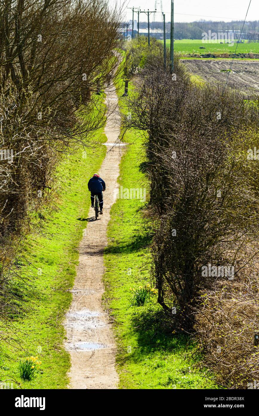 Cyclist on Cheshire Lines path, West Lancashire, part of the Trans-Pennine Trail Stock Photo
