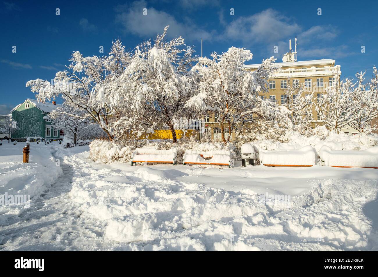 Reykjavik downtown snow-covered. Iceland Stock Photo