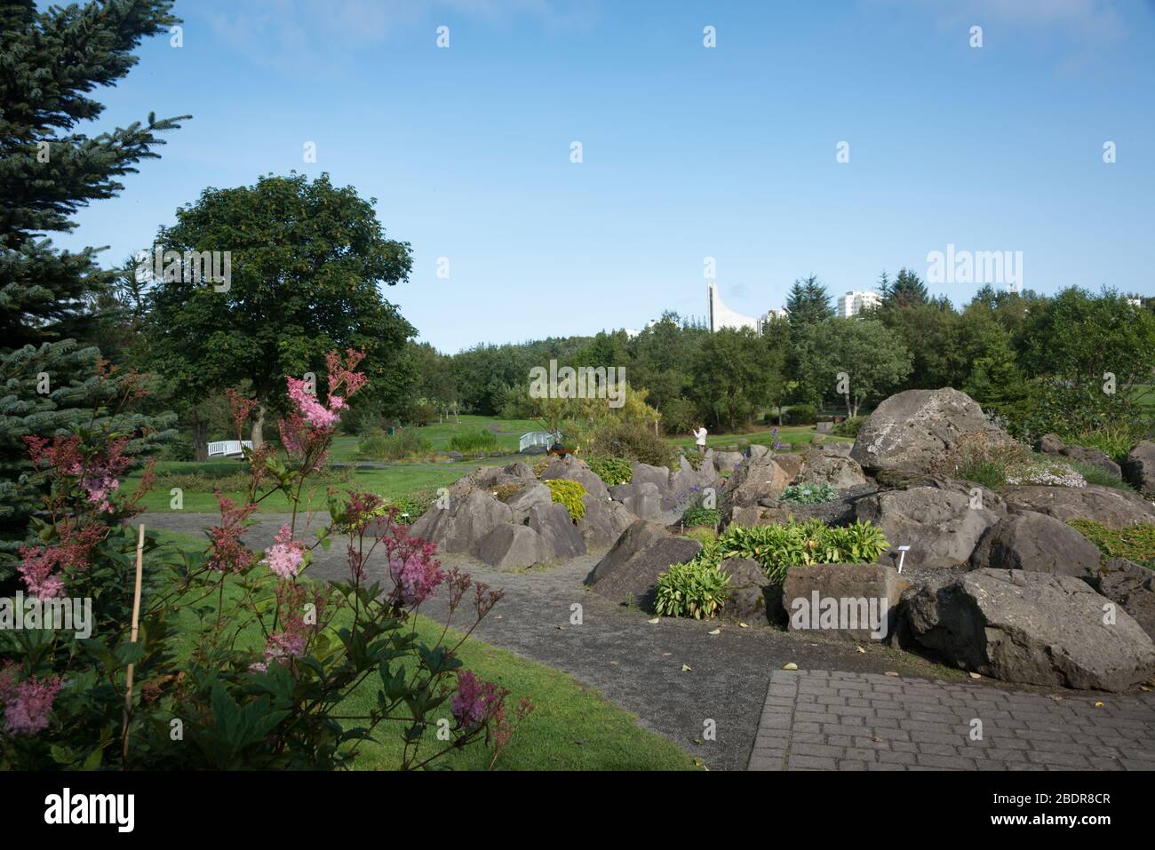 A rockery at Reykjavík Botanical Garden, Iceland Stock Photo